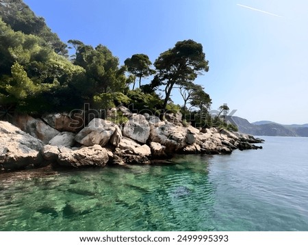 Bäume an Felsenküste mit Meer
