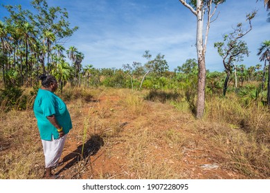 Mitchell Plateau, WA, Australia - May 31, 2015: An Indigenous Australian Woman From The Local Kandiwal Community Observes Native Bushland.