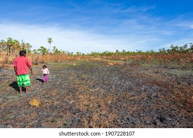 Mitchell Plateau, WA, Australia - May31, 2015:An Indigenous Australian Man From The Kandiwal Community Accompanied By His Child Walk Through Country Burnt By Traditional Fires.