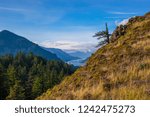 From Mitchell Point, Oregon 