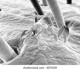 a mite, cootie or a tick seen with a electron microscope