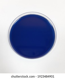 Mitis Salivarius Agar For The Isolation Of Viridans Streptococcus