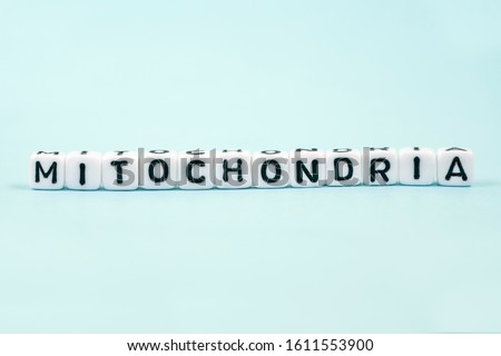 Mitochondria inscription on cube blocks. Medical blue background