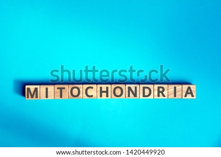 mitochondria inscription wooden cubes with letters on a blue background
