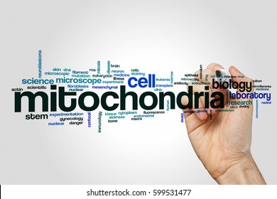 Mitochondria word cloud concept
