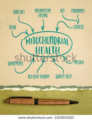 mitochondrial health concept - mind map sketch on art paper, healthy lifestyle and aging