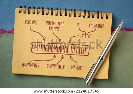 mitochondrial health concept - text and sketch in a notebook, healthy lifestyle and aging