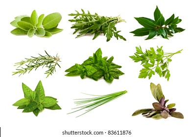 Mix Aromatic Herbs Isolated On White