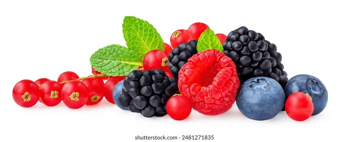 Mix of Berries isolated. Fresh Blueberry, blackberry, Currant berry, raspberry with leaves on white background. Package design element, closeup
 - Powered by Shutterstock