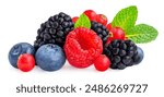 Mix of Berries  for smoothie isolated. Fresh Blueberry, blackberry, Currant berry, raspberry with leaves on white background. 