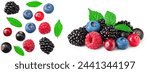 mix of blueberry, blackberry, cranberry, raspberry with leaves isolated on white background. clipping path