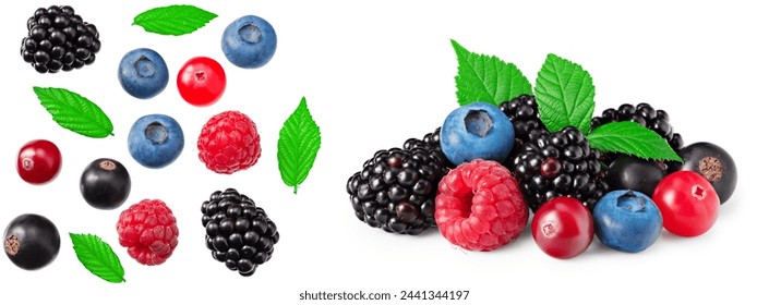 mix of blueberry, blackberry, cranberry, raspberry with leaves isolated on white background. clipping path - Powered by Shutterstock