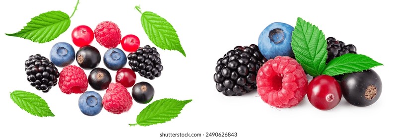 mix of blueberry, blackberry, cranberry, raspberry with leaves isolated on white background. top view