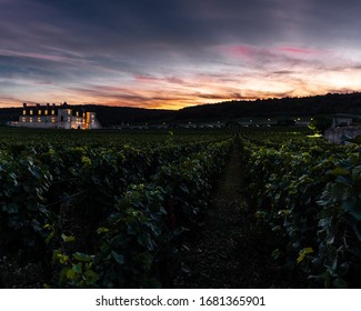 Mix of burgundy vineyard at sunset