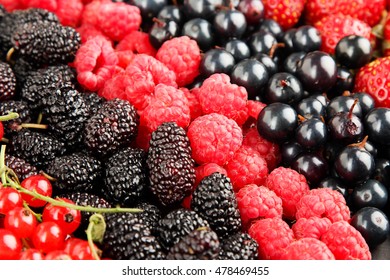 Mix of different berries