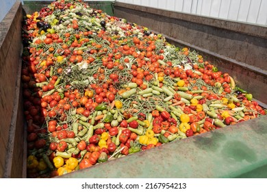 Mix of Expired Vegetables in a huge container, Organic bio waste in a rubbish bin. Heap of Compost from vegetables or food for animals.