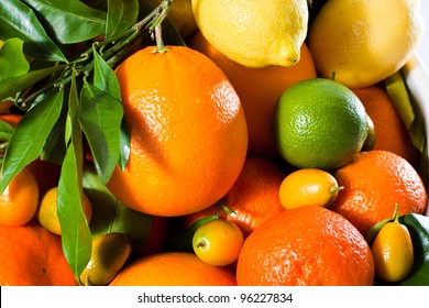 Mix Of Fresh Citrus Fruits