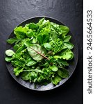 Mix of fresh juicy raw salad greens in black plate. Lettuce, escalora, spinach, frisee, ramen, radicchio, valeriana, arugula salad, beet greens. Healthy low-calorie food for diet. Top view