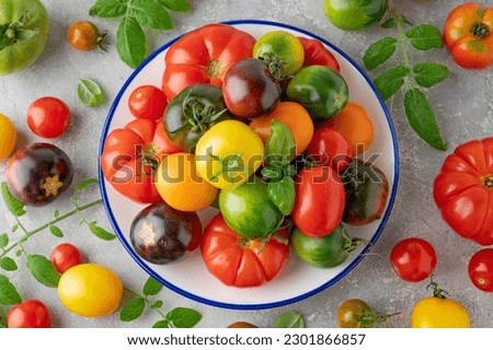 A mix of ripe multi-colored organic tomatoes. Healthy food