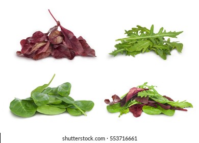 Mix Salad With Arugula Spinach Salad Red On A White Background