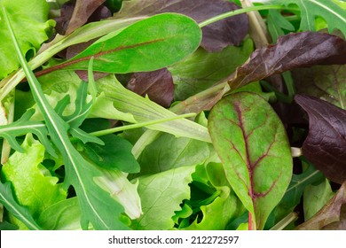 Mix Salad. Isolated On A White Background.