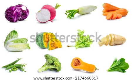 mix set collection vegetable fresh isolated on white background red cabbage, potato , radish ,pumpkin ,pea , broccoli , lettuce 