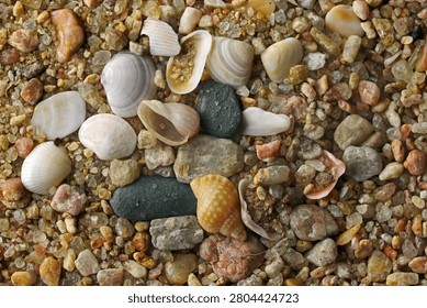 MIX OF SHELLS AND PEBBLES ON COARSE SEA SAND