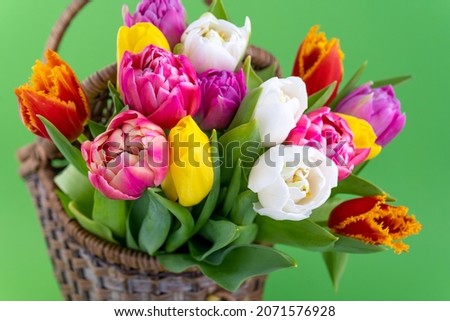 Mix of spring tulips flowers. Background with flowers tulips close-up different colors. Multi-colored spring flower. Gift. Red, pink, white and yellow. Bouquet in a basket. Vase