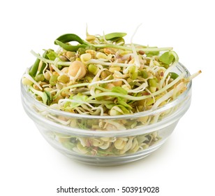 Mix of sprouted flax, peas, mung bean, sunflower, wheat, lentil seeds in glass bowl isolated on white background. vegan, raw food diet