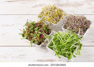 Mix of various sprouts on wooden background. Sprouted seeds. Healthy eating, detoxification.