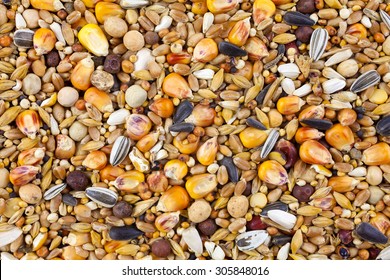 Mixed Bird Seed Close Up