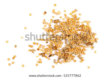 Mixed bird seed isolated on white