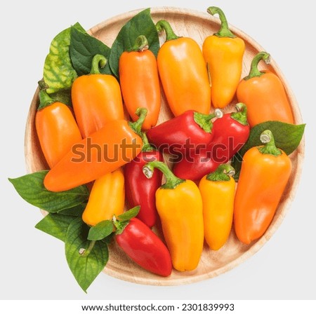 Mixed Color Sweet bite Peppers  or Bell pepper on wooden plate Isolate on white background with clipping path.