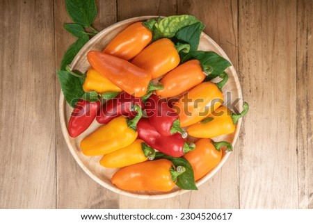 Mixed Color Sweet bite Peppers on wooden background.