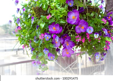 Mixed Flowers In A Hanging Basket.