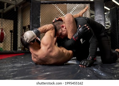 Mixed martial artists punching each other, fighting without rules at gym, training. aggressive boxers sparring, having strong powerful muscles, lying on ground floor - Powered by Shutterstock