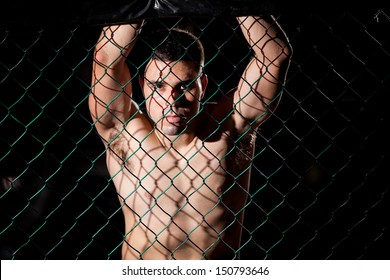 Mixed Martial Arts Fighter Getting Ready For A Fight And Leaning On A Fighting Cage