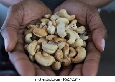 Mixed Nuts In The African American Hands. Cashew In The Dark Brown Skin Palms In Selective Focus Or Healthy Eating Concept