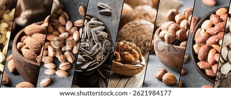 Mixed nuts concept, collage various nuts, hazelnut, walnut, cashew, almond, sunflower seeds, pistachio, dried fruits healthy food nut