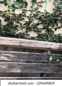 Mixed pattern wood and block