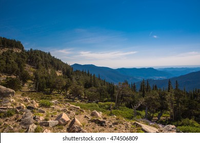 Mixed and pine tree forest on a downhill covered by green grass and small rocks and mountains with blue sky on a horison during August at high elevation in Colorado. Denver. USA