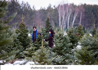 A Mixed Race Couple Searching For And Cutting Down A Christmas Tree