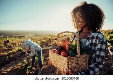 Mixed Race Female Farmer Working Early On Farm Holding Basket Of Fresh Vegetables 