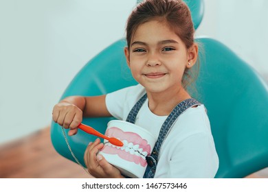 Mixed Race Girl Brushing Teeth. Child Holding Teeth Model And Showing How Brushing Teeth