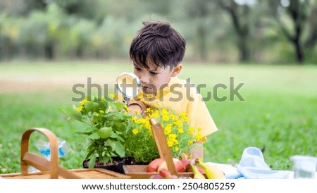 Mixed race little boy exploring the nature with magnifying glass outdoors, children playing in the park with magnifying glass. Curious kid exploring nature by magnifier