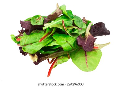 Mixed Salad Baby Red Leaf, Baby Spinach & Red Chard. Isolated On White