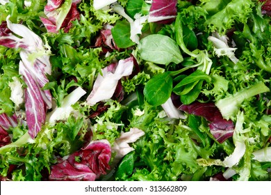 Mixed salad leaves  frisee, radicchio and lamb's lettuce. Background, texture.