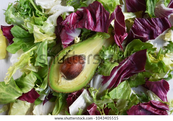 Mixed Salad Leaves Frisee Radicchio Endive Stock Photo Edit Now Mixed Salad Leaves Frisee Radicchio Endive Stock Photo Edit Now
