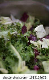 Mixed Salat Closeup On Plate