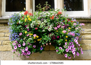 107,202 Mixed summer flower Images, Stock Photos & Vectors | Shutterstock